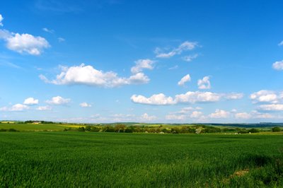 From green to blue_4718914944_l.jpg